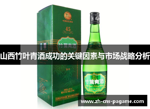 山西竹叶青酒成功的关键因素与市场战略分析