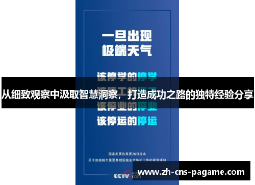 从细致观察中汲取智慧洞察，打造成功之路的独特经验分享