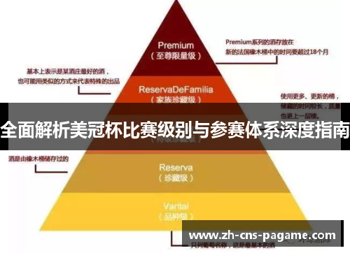 全面解析美冠杯比赛级别与参赛体系深度指南