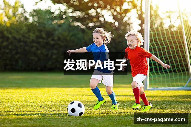 发现PA电子