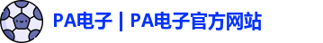 PA电子